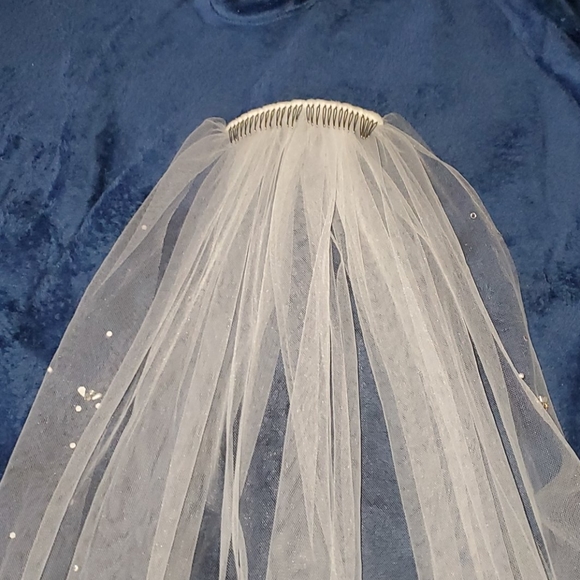 Veil - Picture 2 of 5